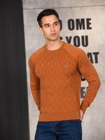 Heren Trui Met Ruitdesign